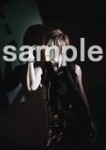 the GazettE [band] -  14 9d5c5f201980850